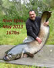 My Gallery: Image
